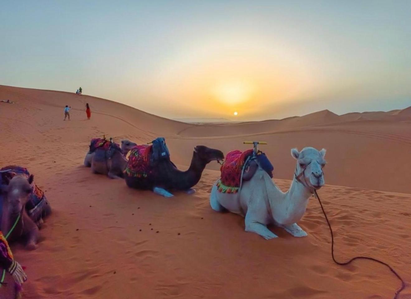 Merzouga Lovely Luxury Camp Luaran gambar